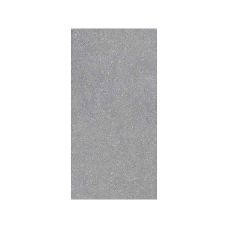 Carrelage Pierre gris 60x120 cm