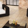 Carrelage Outdoor arenisca 33,3x33,3 cm