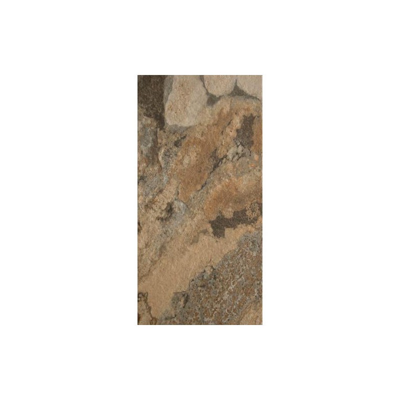 Carrelage Arcata stone terre antislip 30x60 cm